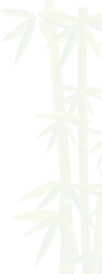 Sugar cane