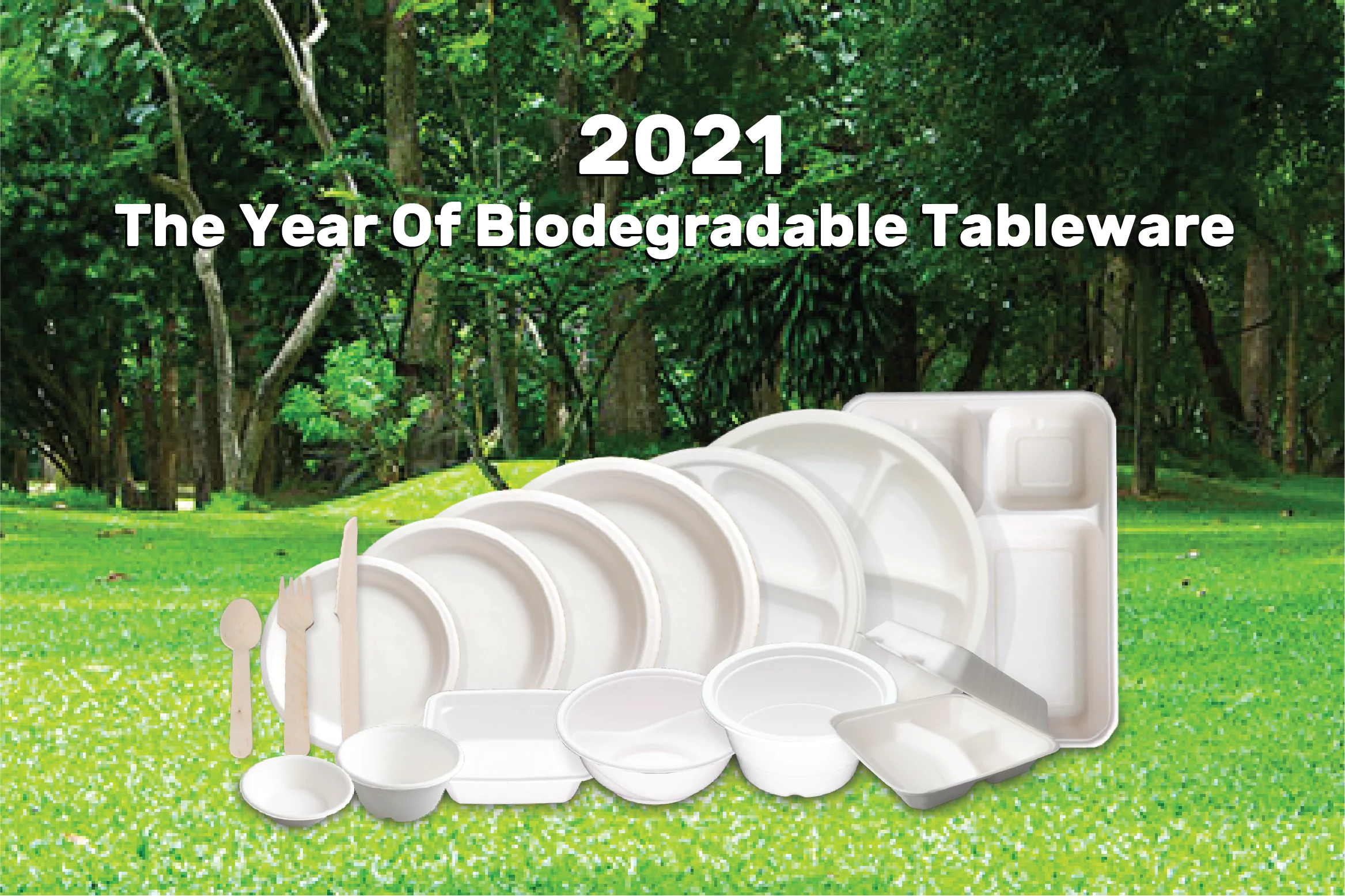 2021, THE YEAR OF BIODEGRADABLE TABLEWARE 2021, THE YEAR OF BIODEGRADABLE TABLEWARE