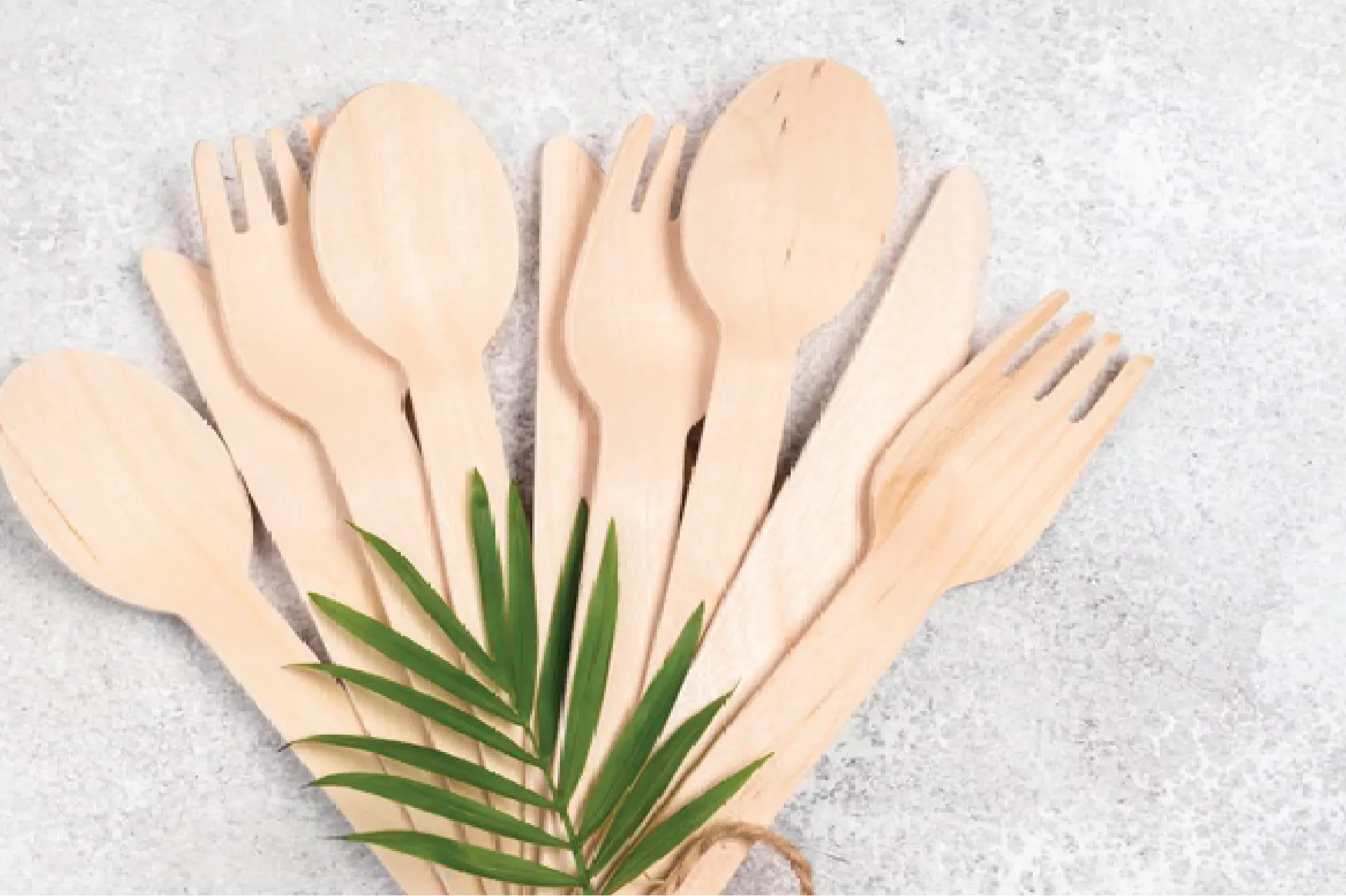 DINEARTH ECO FRIENDLY TABLEWARE GETS COVERED AS COMPANY OF THE YEAR - GREEN PRODUCTS - CEO INSIGHTS DINEARTH ECO FRIENDLY TABLEWARE GETS COVERED AS COMPANY OF THE YEAR - GREEN PRODUCTS - CEO INSIGHTS