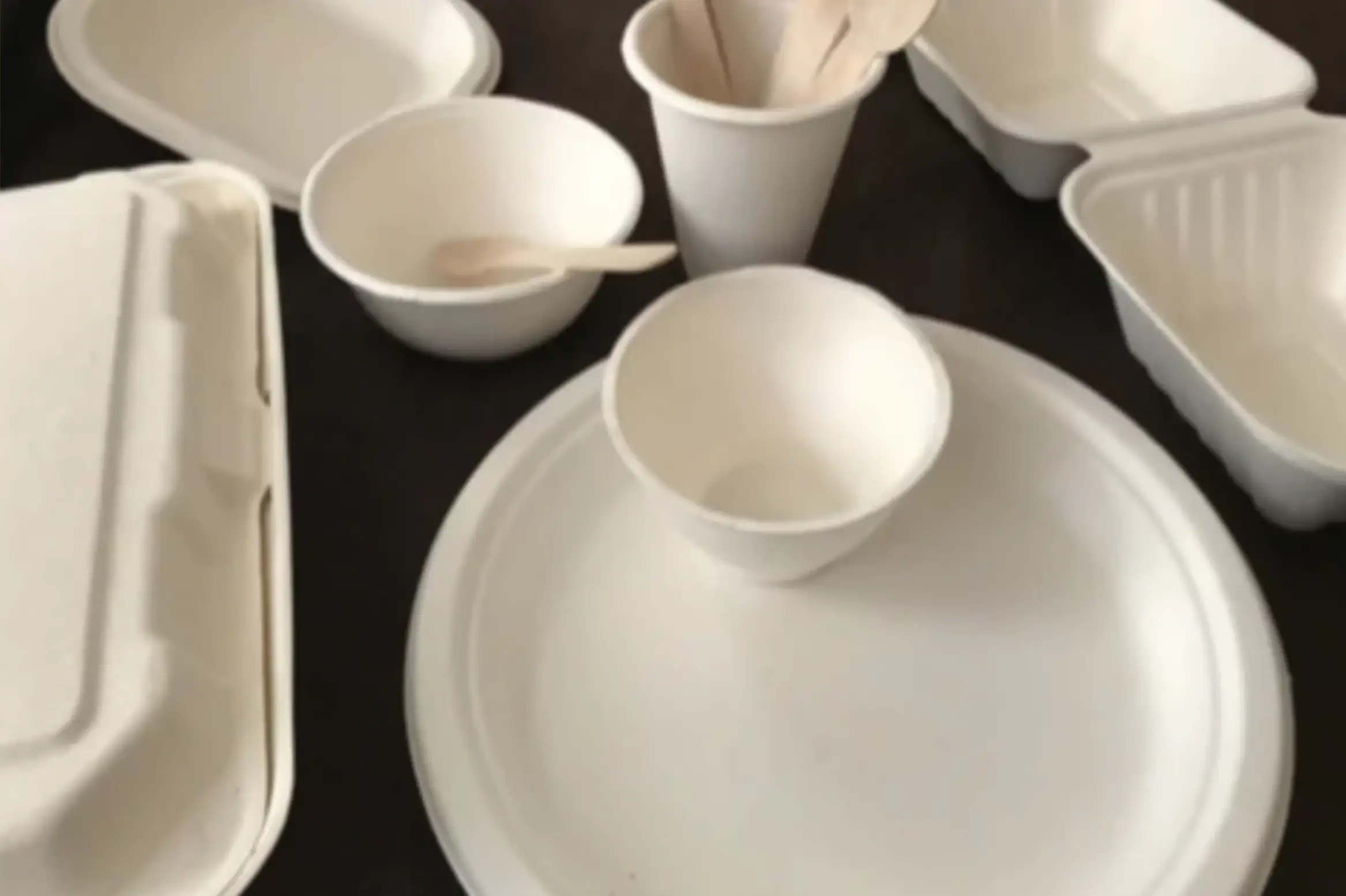 DINEARTH - ECO-FRIENDLY TABLEWARE'S VISION FOR 2022. DINEARTH - ECO-FRIENDLY TABLEWARE'S VISION FOR 2022.