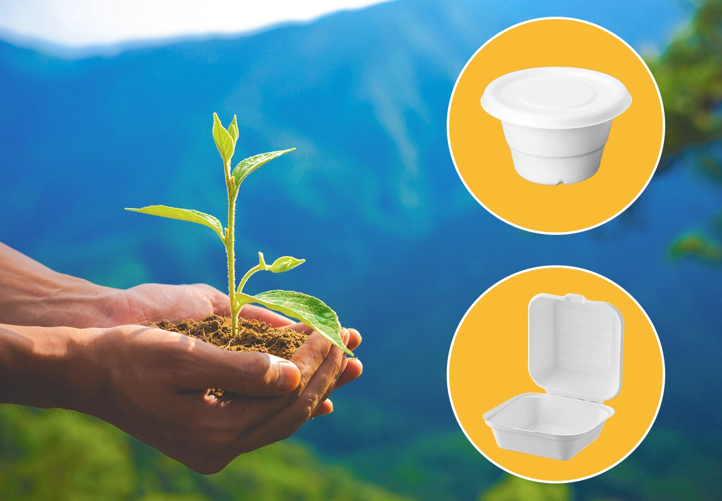 Bagasse: The Natural Solution for Sustainable, Compostable Tableware
