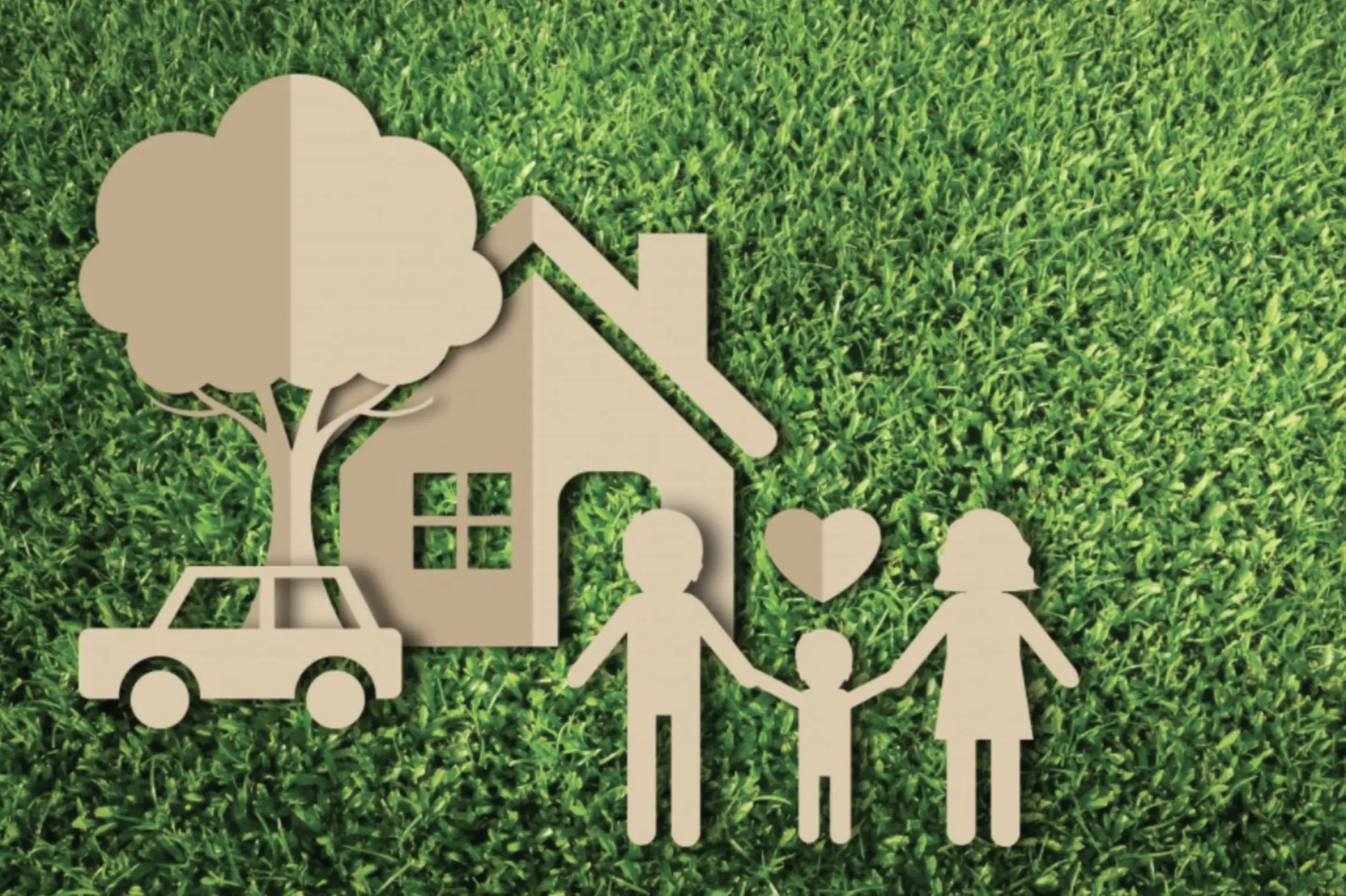 BE ECOFRIENDLY FROM THE COMFORT OF YOUR HOME BE ECOFRIENDLY FROM THE COMFORT OF YOUR HOME