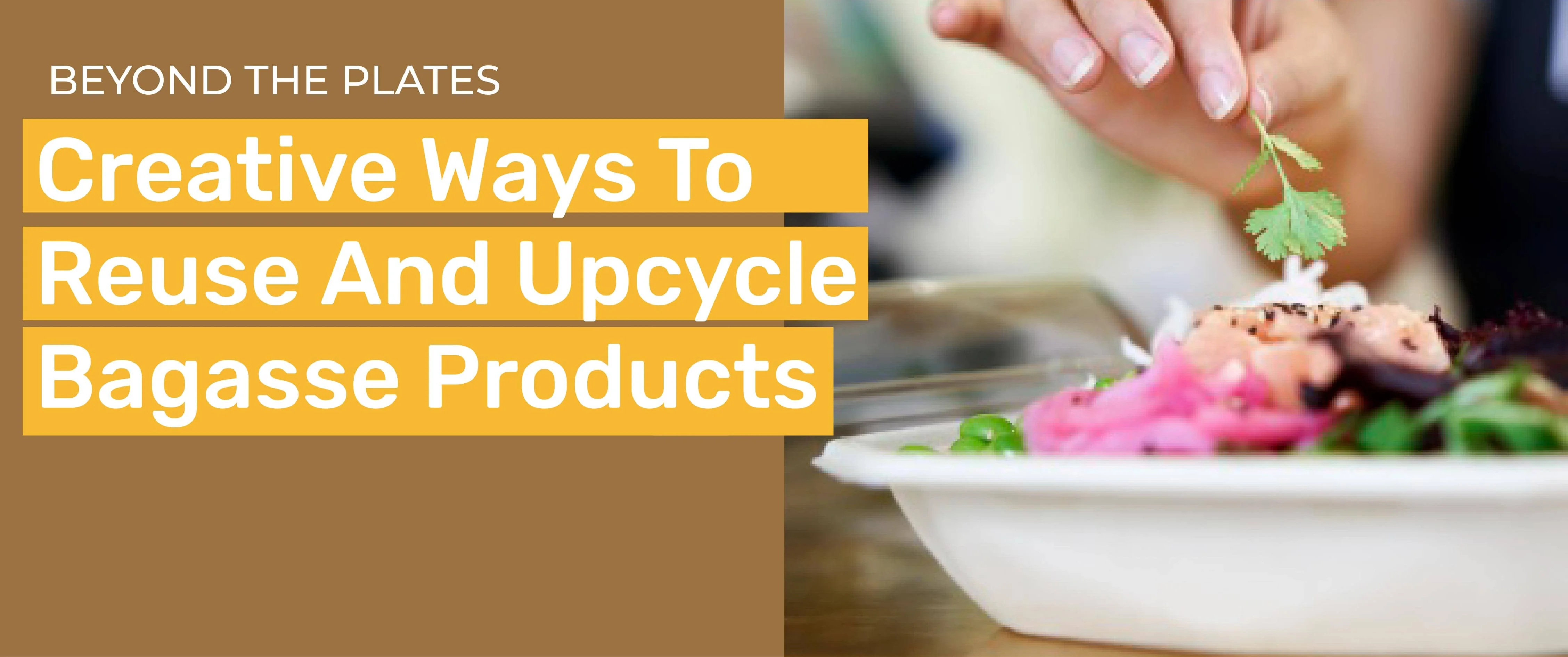 BEYOND THE PLATE: CREATIVE WAYS TO REUSE AND UPCYCLE BAGASSE PRODUCTS BEYOND THE PLATE: CREATIVE WAYS TO REUSE AND UPCYCLE BAGASSE PRODUCTS