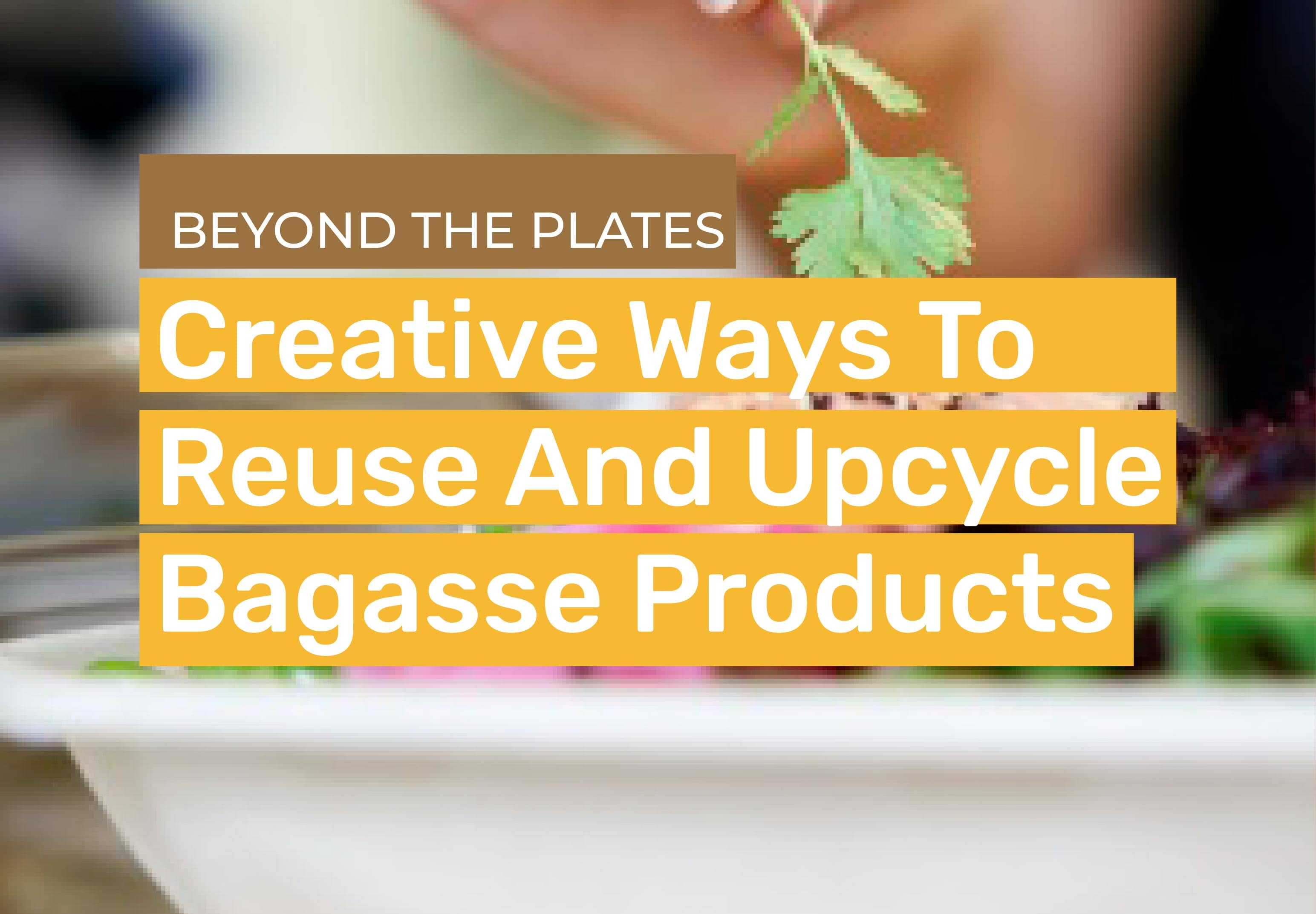 Beyond the Plate: Creative Ways to Reuse and Upcycle Bagasse Products