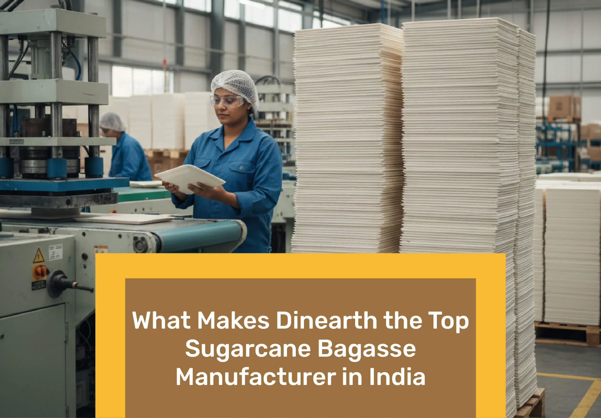 What Makes Dinearth the Top Sugarcane Bagasse Manufacturer in India
