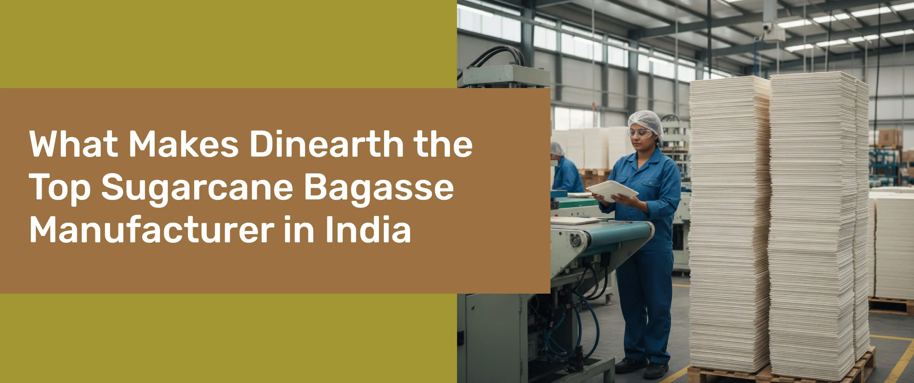 WHAT MAKES DINEARTH THE TOP SUGARCANE BAGASSE MANUFACTURER IN INDIA WHAT MAKES DINEARTH THE TOP SUGARCANE BAGASSE MANUFACTURER IN INDIA