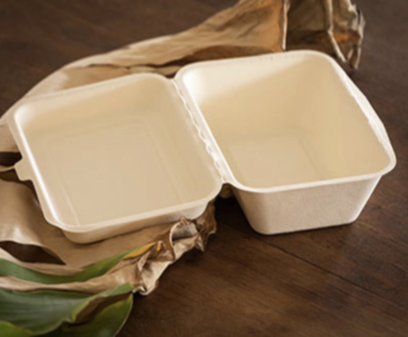 IS ECO-FRIENDLY BIODEGRADABLE? IS ECO-FRIENDLY BIODEGRADABLE?