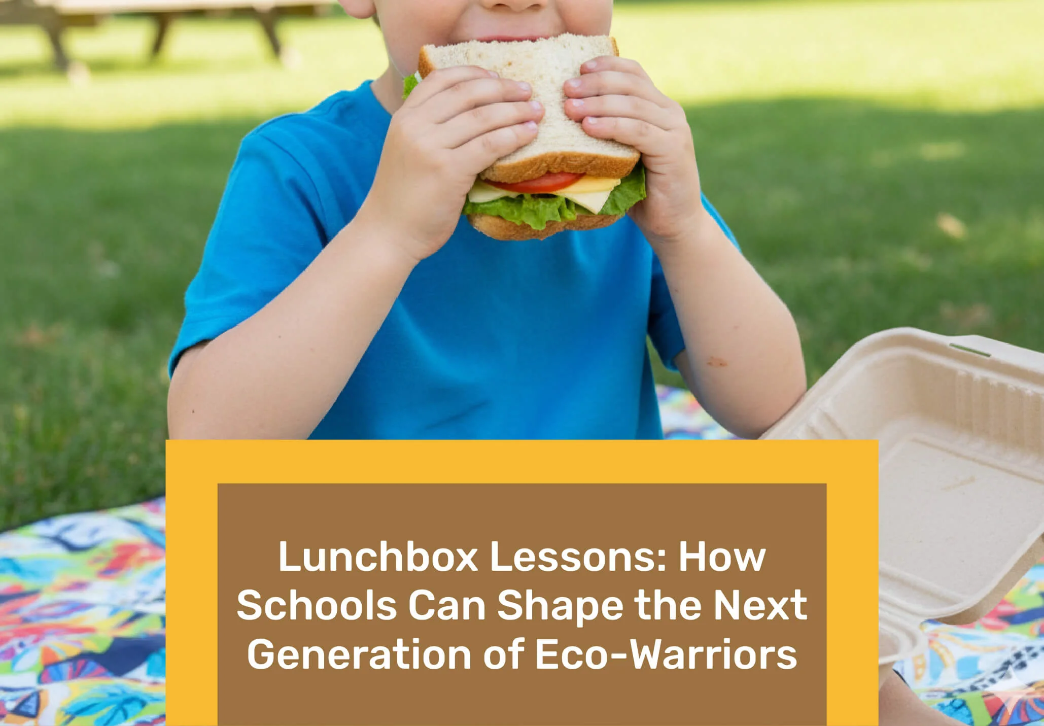 Lunchbox Lessons: How Schools Can Shape the Next Generation of Eco-Warriors