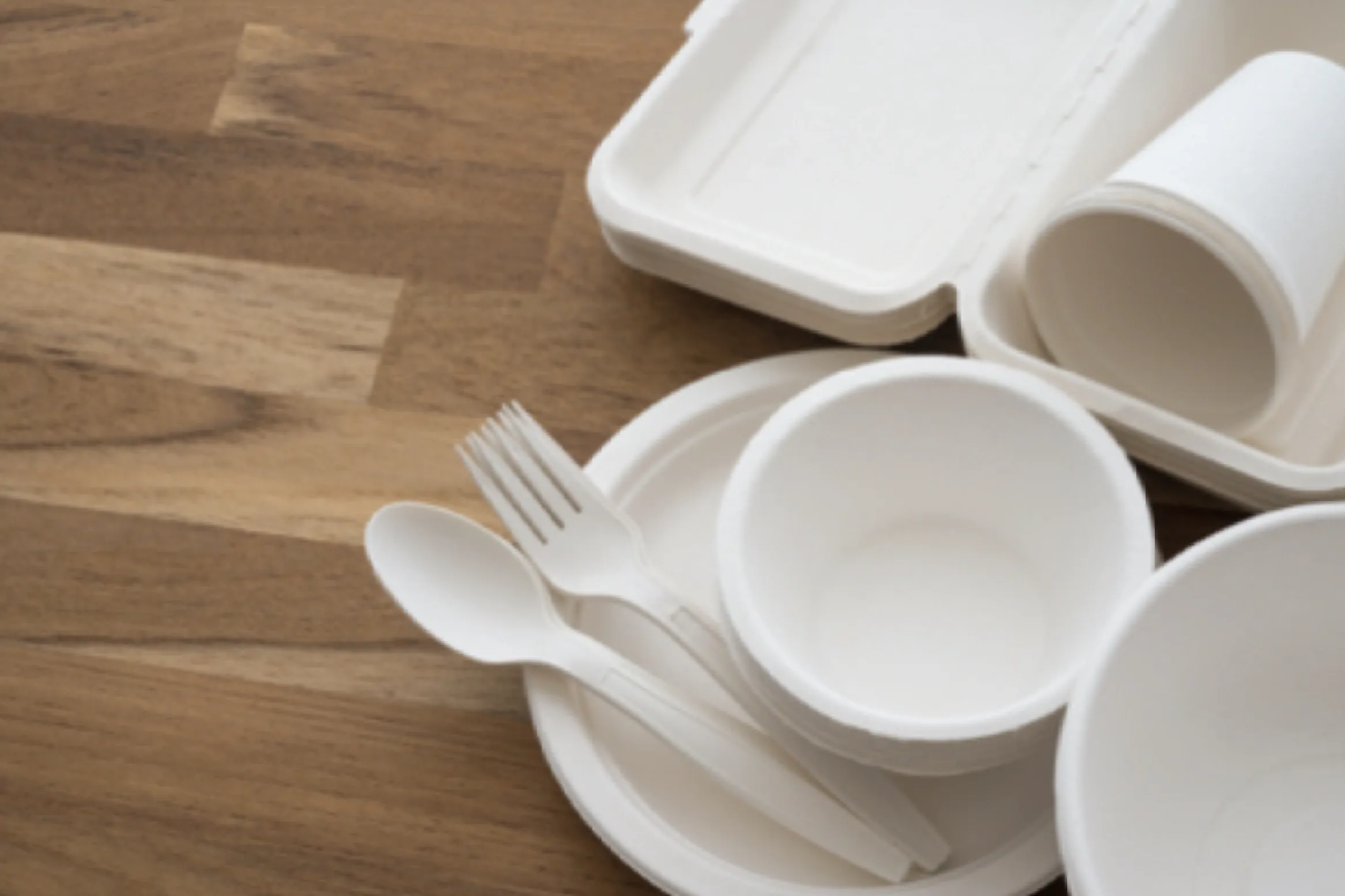 PREFECT FOR A PARTY - BEST FOR BREAKFAST, MEALS, OR DINNER. DINEARTH ECO FRIENDLY TABLEWARE. PREFECT FOR A PARTY - BEST FOR BREAKFAST, MEALS, OR DINNER. DINEARTH ECO FRIENDLY TABLEWARE.