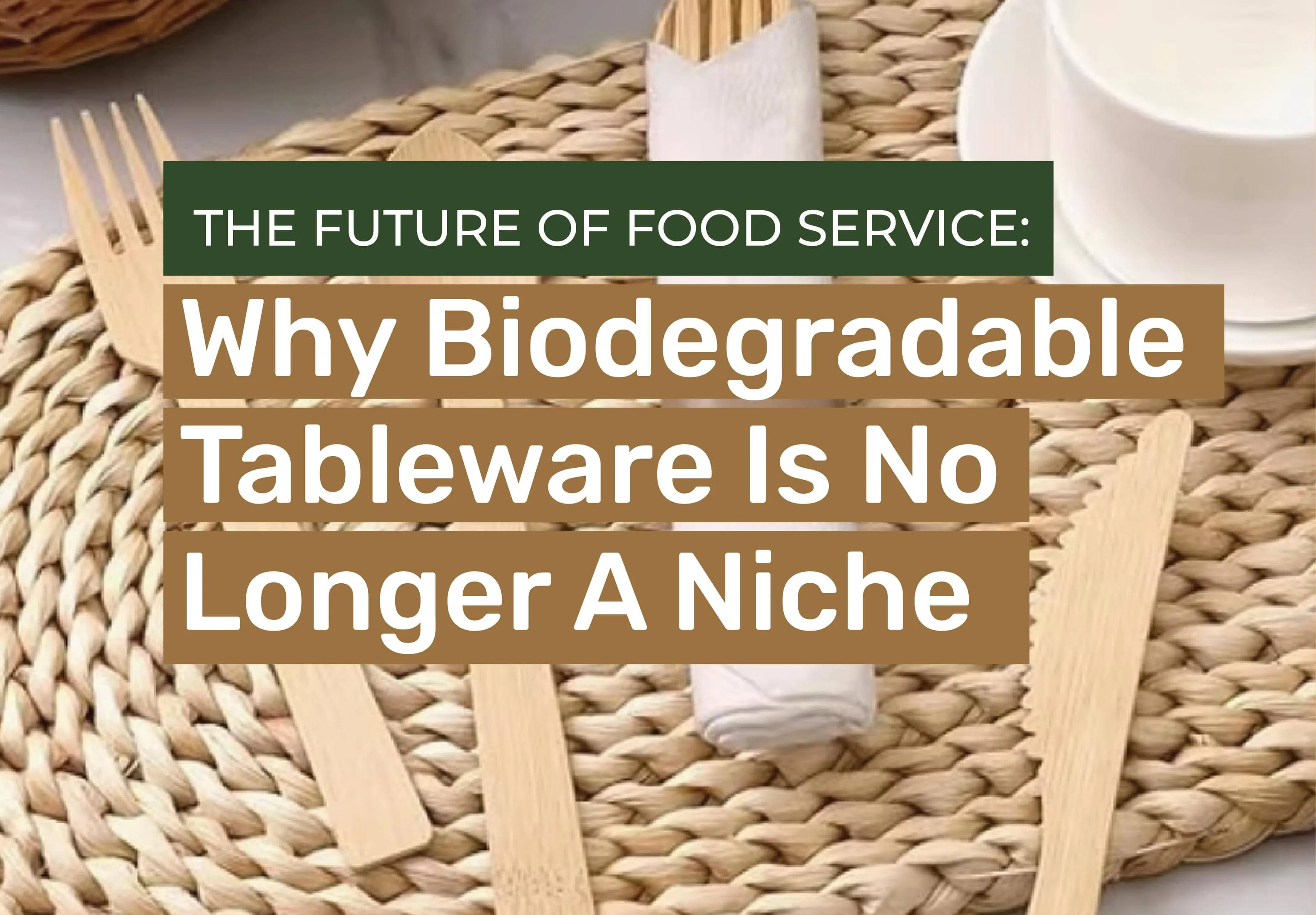 The Future of Food Service: Why Biodegradable Tableware is No Longer a Niche