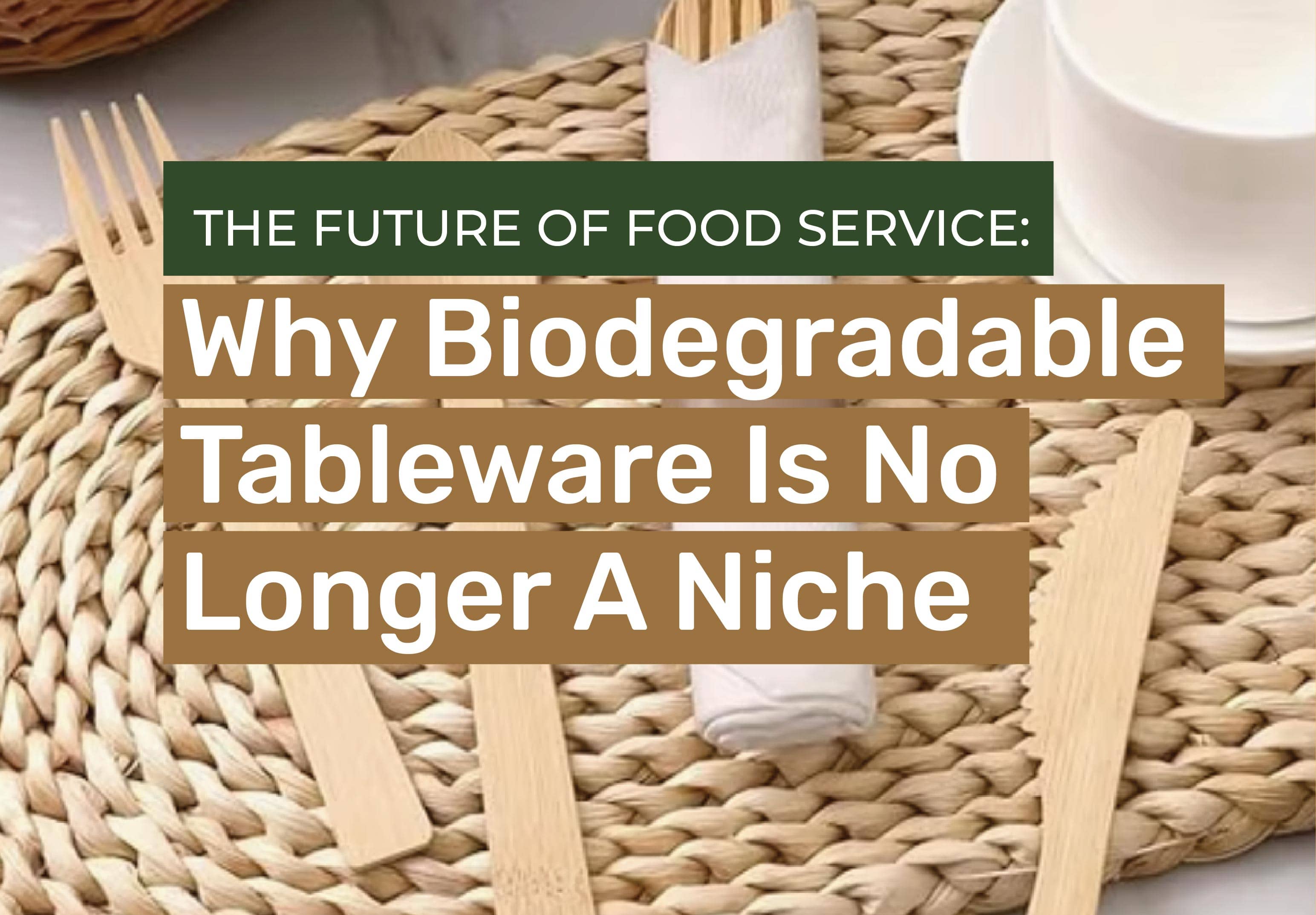 The Future of Food Service: Why Biodegradable Tableware is No Longer a Niche