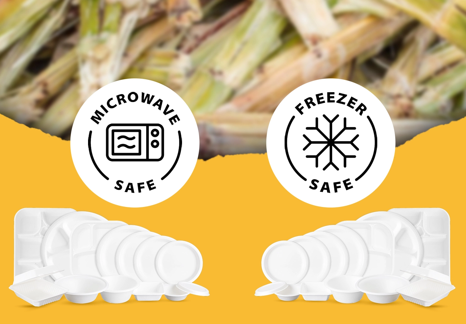 The Top Reasons Why Dinearth is a Leader in the Production of Bagasse Plates in India