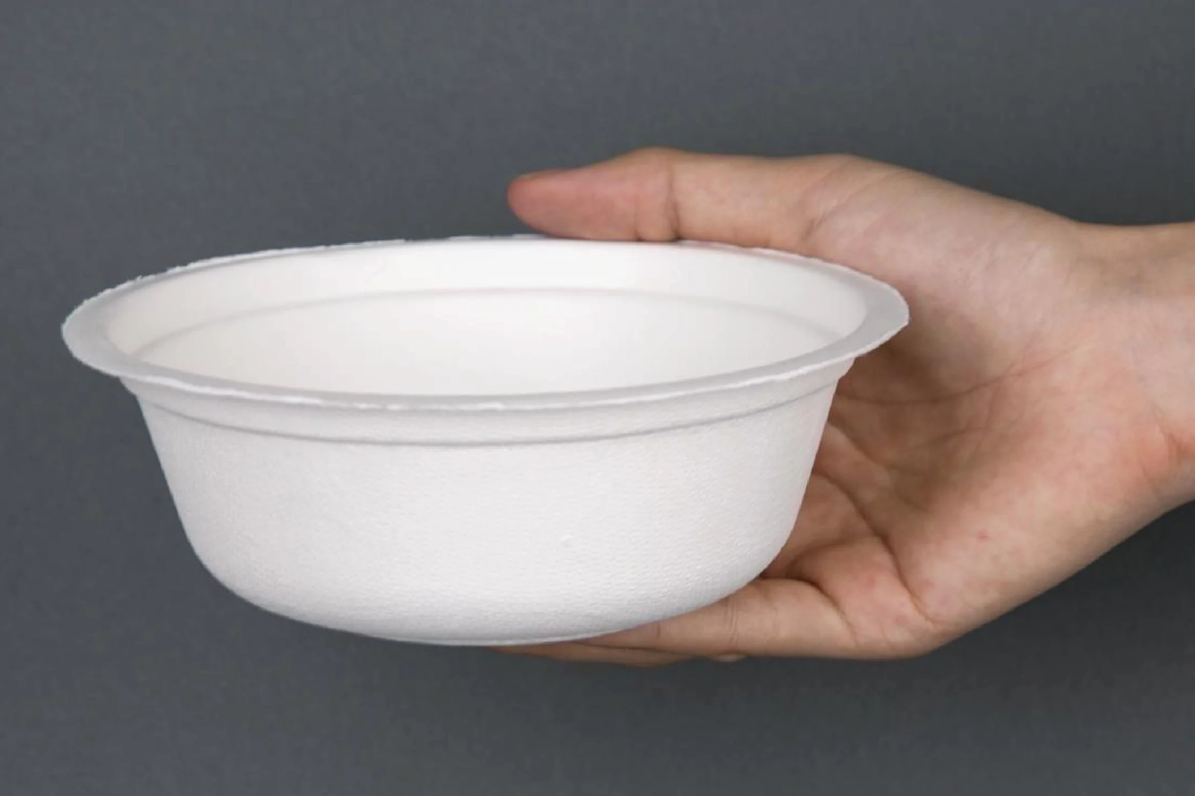 TRUSTING INDIA'S LEADING EXPORTER OF BAGASSE TABLEWARE - GET TO KNOW DINEARTH TRUSTING INDIA'S LEADING EXPORTER OF BAGASSE TABLEWARE - GET TO KNOW DINEARTH