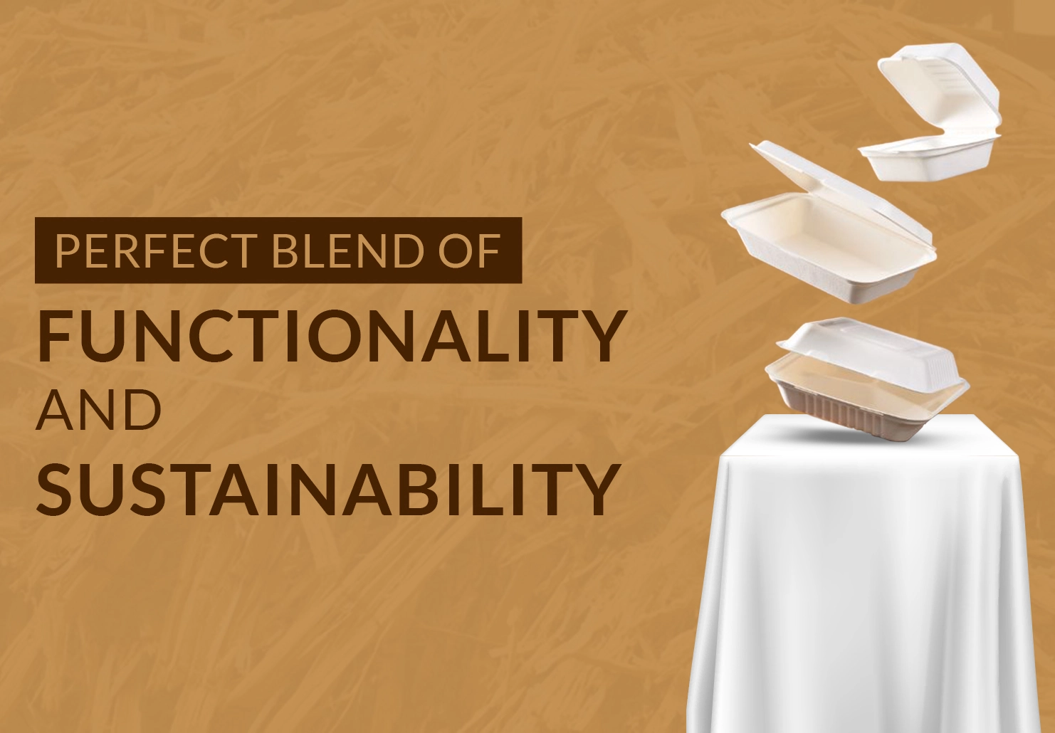 Bagasse: The Natural Solution for Sustainable, Compostable Tableware
