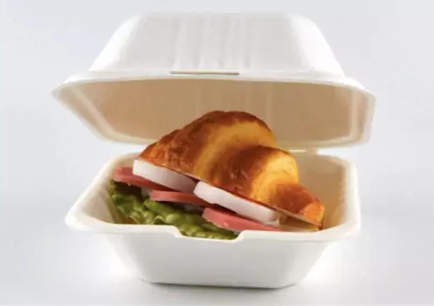 WORLD'S NO 1 EXPORTER AND MANUFACTURER OF ECO-FRIENDLY PLATES , BOWLS AND ECO FRIENDLY TABLEWARE