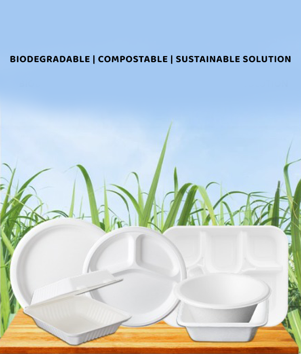 Biodegradable compostable sustainable food containers