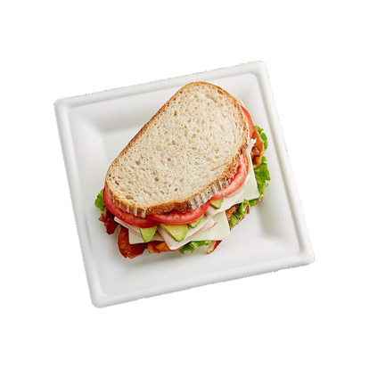 Bagasse Square Plates